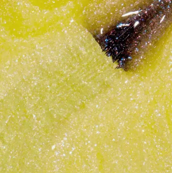 🛍️ 3/$20 💅 OPI Ray- diance - Picture 8 of 13